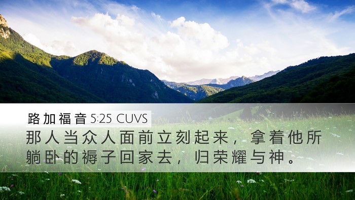 路 加 福 音 5:25 CUVS Desktop Wallpaper - 那 人 当 众 人 面 前 立 刻 起 来 ， - Desktop Bible Verse Wallpaper
