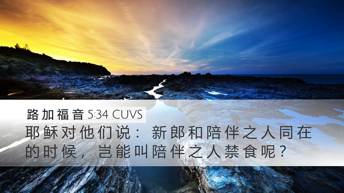 路 加 福 音 5:34 CUVS Bible Verse Image