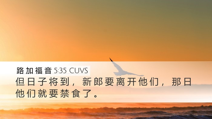 路 加 福 音 5:35 CUVS Desktop Wallpaper - 但 日 子 将 到 ， 新 郎 要 离 开 他 - Desktop Bible Verse Wallpaper