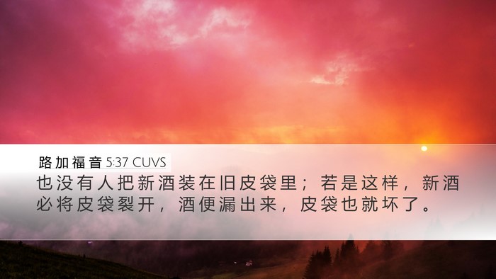 路 加 福 音 5:37 CUVS Desktop Wallpaper - 也 没 有 人 把 新 酒 装 在 旧 皮 袋 - Desktop Bible Verse Wallpaper