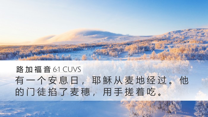 路 加 福 音 6:1 CUVS Bible Verse Image