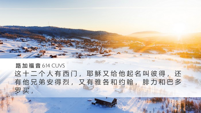 路 加 福 音 6:14 CUVS Bible Verse Image