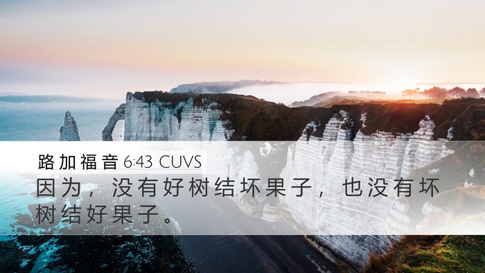 路 加 福 音 6:43 CUVS Bible Verse Image