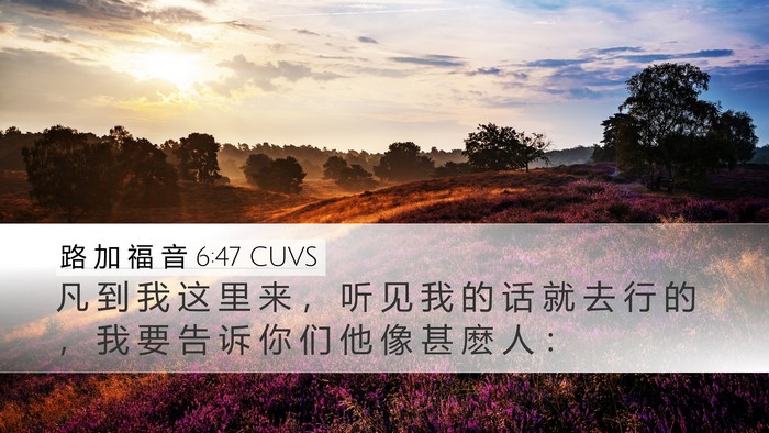 路 加 福 音 6:47 CUVS Bible Verse Image