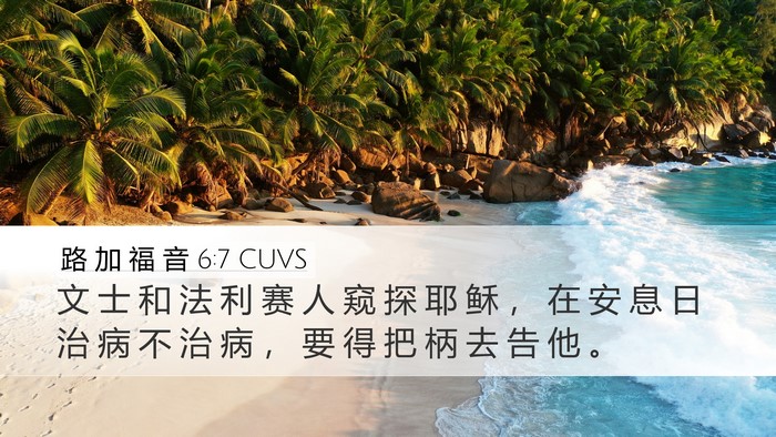 路 加 福 音 6:7 CUVS Bible Verse Image
