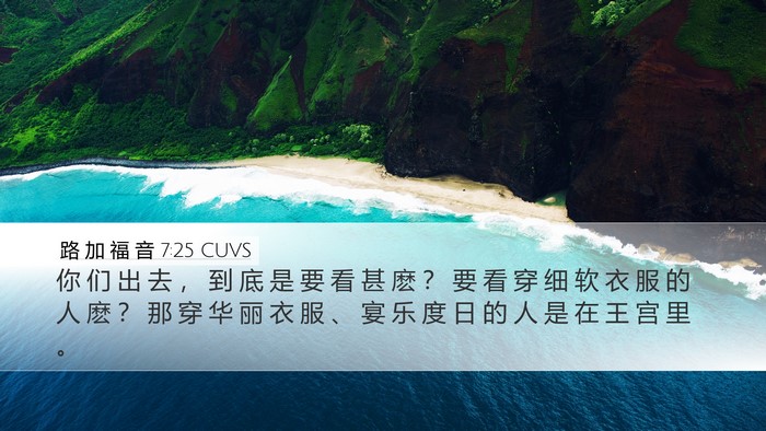 路 加 福 音 7:25 CUVS Desktop Wallpaper - 你 们 出 去 ， 到 底 是 要 看 甚 麽 - Desktop Bible Verse Wallpaper