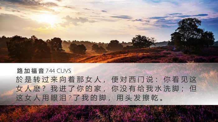 路 加 福 音 7:44 CUVS Bible Verse Image