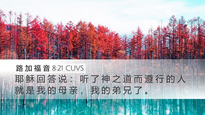 路 加 福 音 8:21 CUVS Bible Verse Image