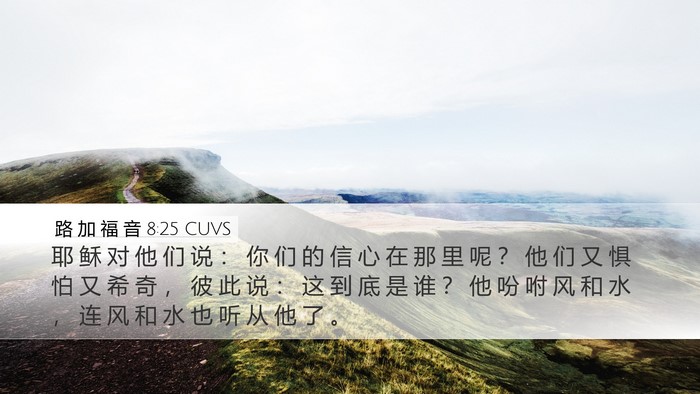 路 加 福 音 8:25 CUVS Bible Verse Image