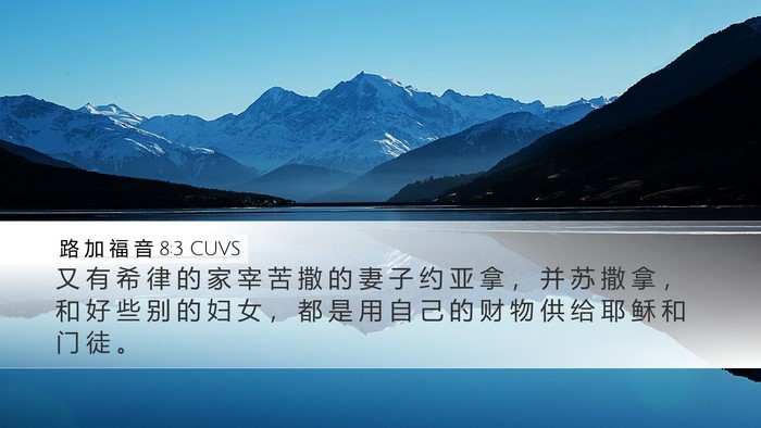 路 加 福 音 8:3 CUVS Bible Verse Image