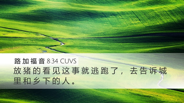 路 加 福 音 8:34 CUVS Bible Verse Image