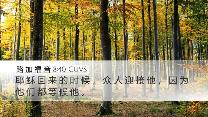 路 加 福 音 8:40 CUVS Bible Verse Image