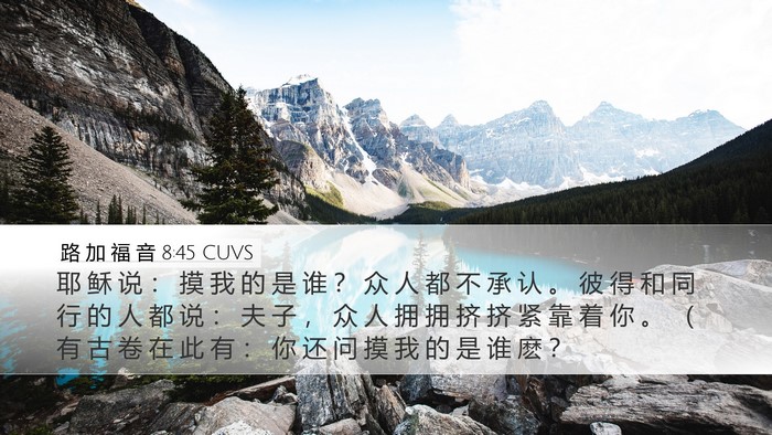 路 加 福 音 8:45 CUVS Bible Verse Image