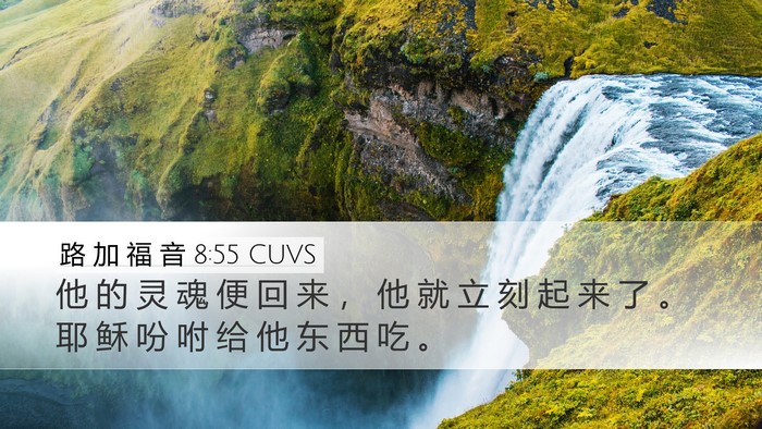 路 加 福 音 8:55 CUVS Desktop Wallpaper - 他 的 灵 魂 便 回 来 ， 他 就 立 刻 - Desktop Bible Verse Wallpaper