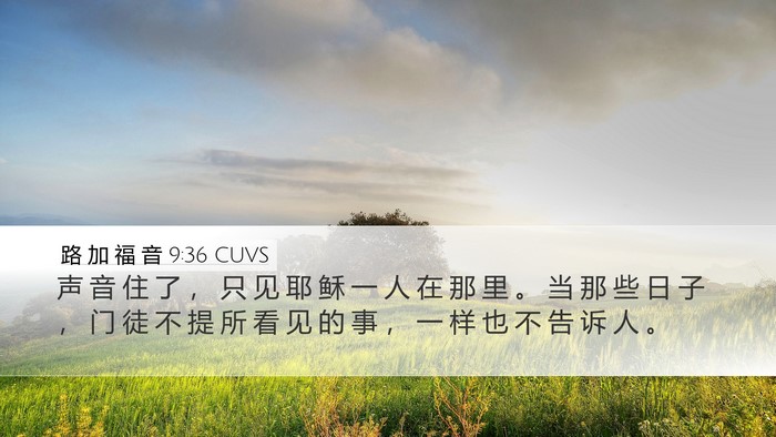 路 加 福 音 9:36 CUVS Desktop Wallpaper - 声 音 住 了 ， 只 见 耶 稣 一 人 在 - Desktop Bible Verse Wallpaper