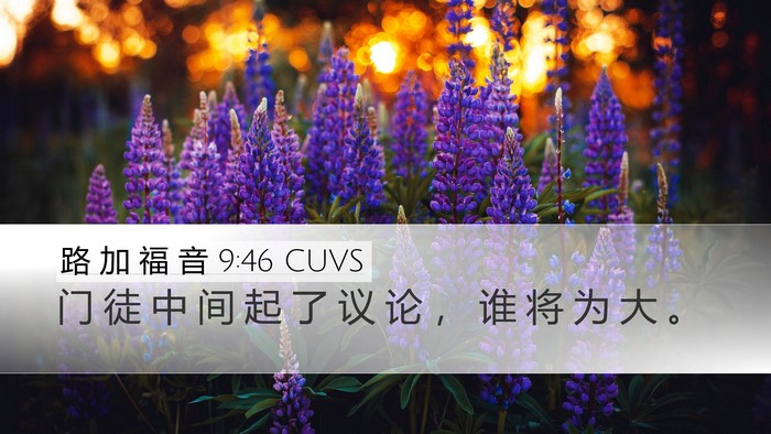 路 加 福 音 9:46 CUVS Bible Verse Image