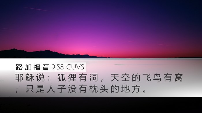 路 加 福 音 9:58 CUVS Desktop Wallpaper - 耶 稣 说 ： 狐 狸 有 洞 ， 天 空 的 - Desktop Bible Verse Wallpaper