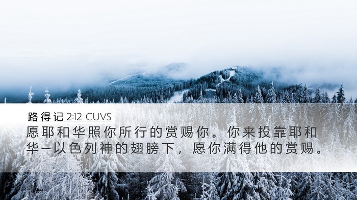 路 得 记 2:12 CUVS Bible Verse Image