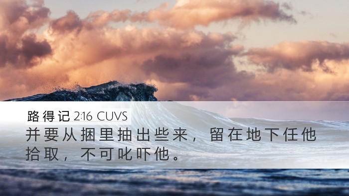路 得 记 2:16 CUVS Desktop Wallpaper - 并 要 从 捆 里 抽 出 些 来 ， 留 在 - Desktop Bible Verse Wallpaper