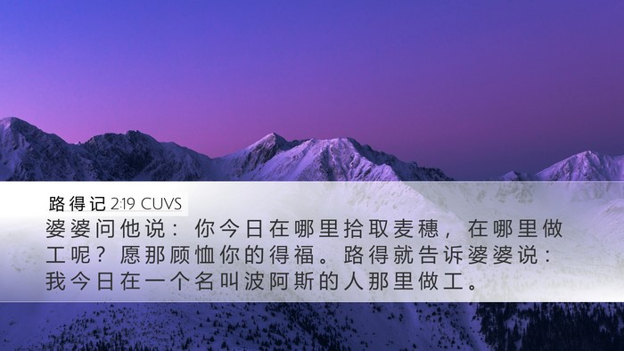 路 得 记 2:19 CUVS Desktop Wallpaper - 婆 婆 问 他 说 ： 你 今 日 在 哪 里 - Desktop Bible Verse Wallpaper