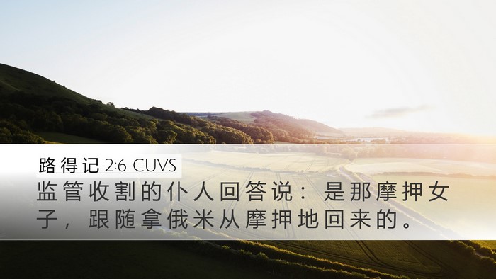 路 得 记 2:6 CUVS Desktop Wallpaper - 监 管 收 割 的 仆 人 回 答 说 ： 是 - Desktop Bible Verse Wallpaper