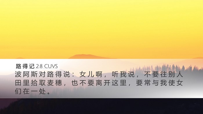 路 得 记 2:8 CUVS Bible Verse Image
