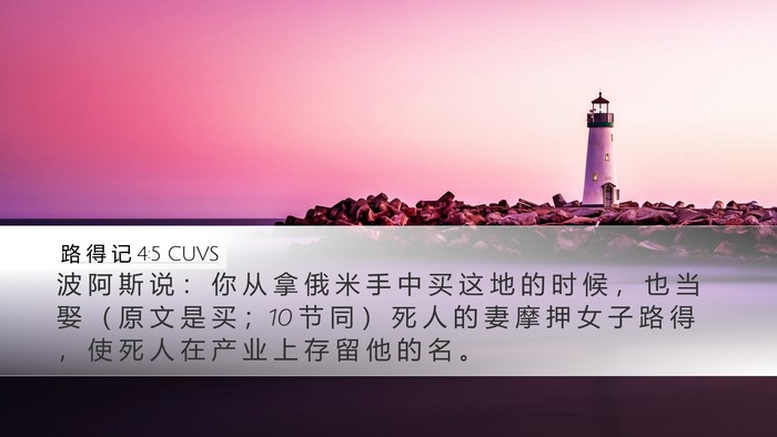 路 得 记 4:5 CUVS Desktop Wallpaper - 波 阿 斯 说 ： 你 从 拿 俄 米 手 中 - Desktop Bible Verse Wallpaper