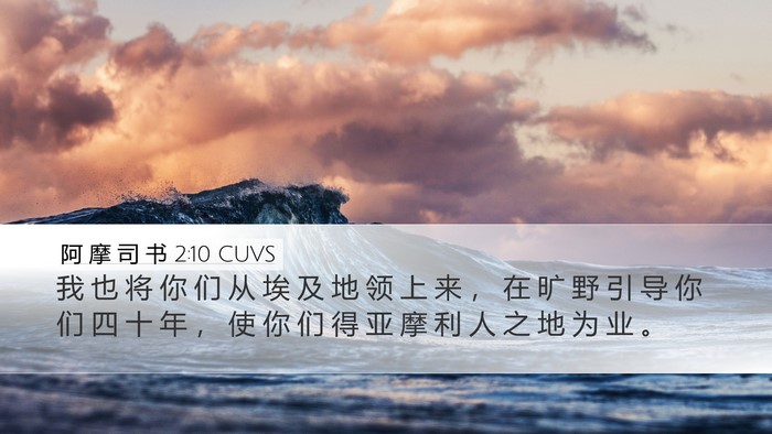 阿 摩 司 书 2:10 CUVS Desktop Wallpaper - 我 也 将 你 们 从 埃 及 地 领 上 来 - Desktop Bible Verse Wallpaper