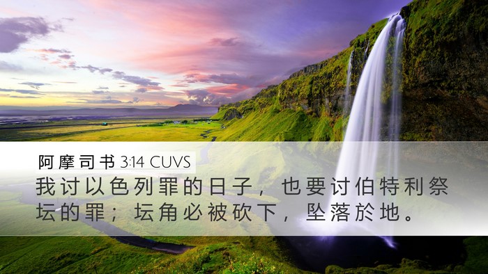 阿 摩 司 书 3:14 CUVS Bible Verse Image