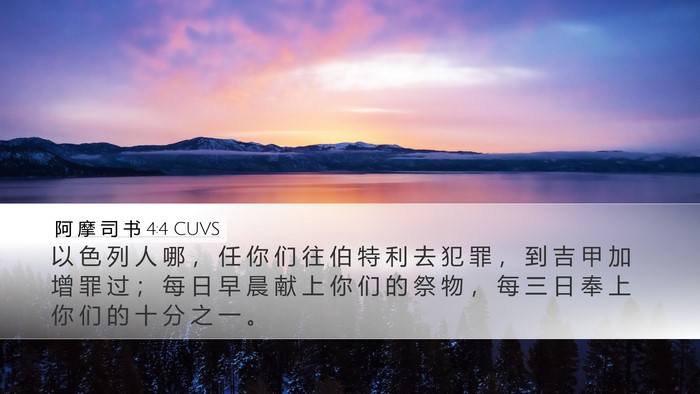 阿 摩 司 书 4:4 CUVS Bible Verse Image