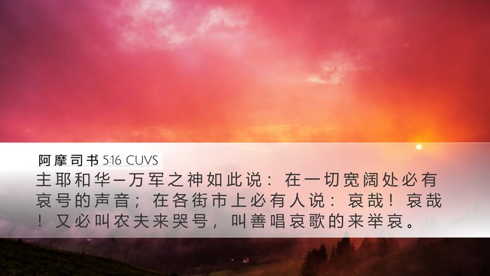 阿 摩 司 书 5:16 CUVS Bible Verse Image