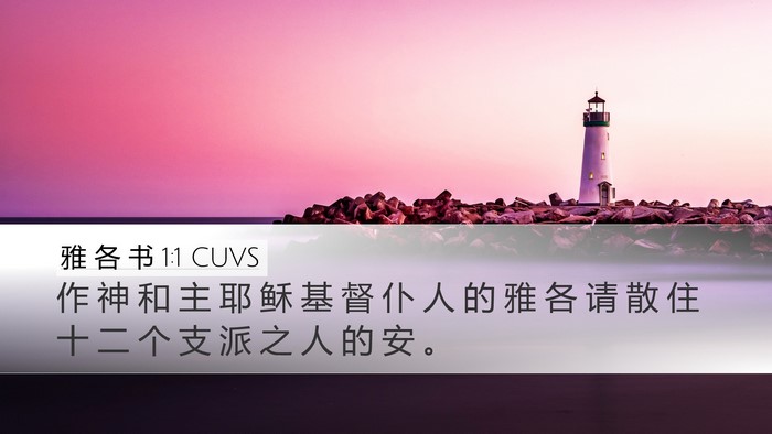 雅 各 书 1:1 CUVS Bible Verse Image
