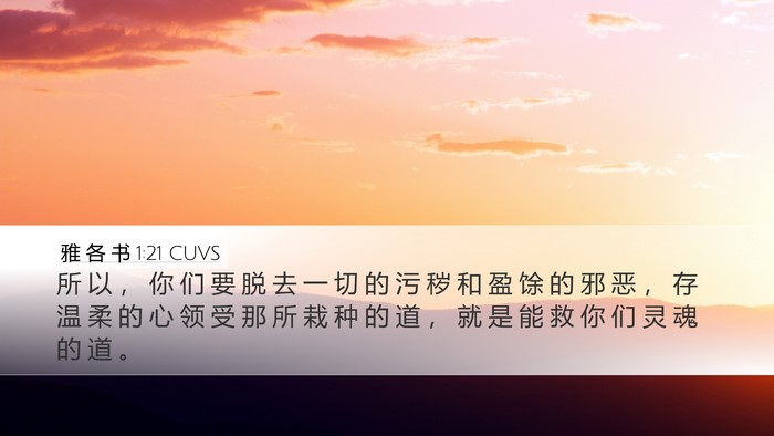 雅 各 书 1:21 CUVS Bible Verse Image