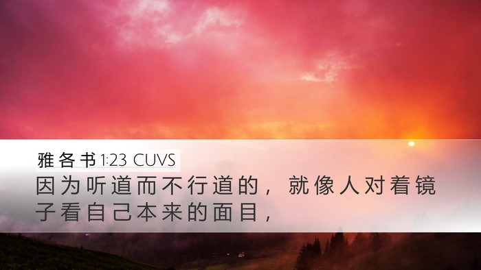雅 各 书 1:23 CUVS Bible Verse Image
