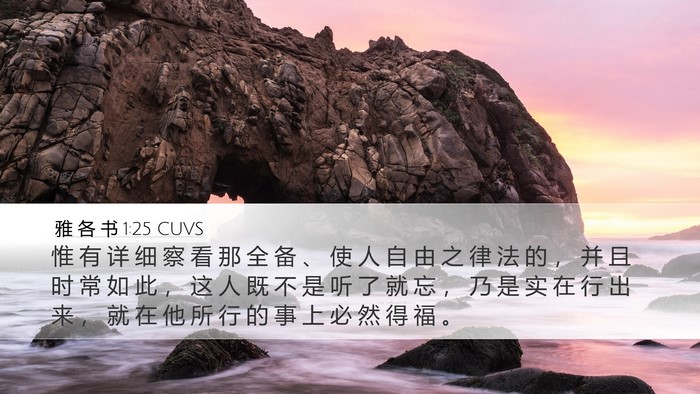 雅 各 书 1:25 CUVS Bible Verse Image