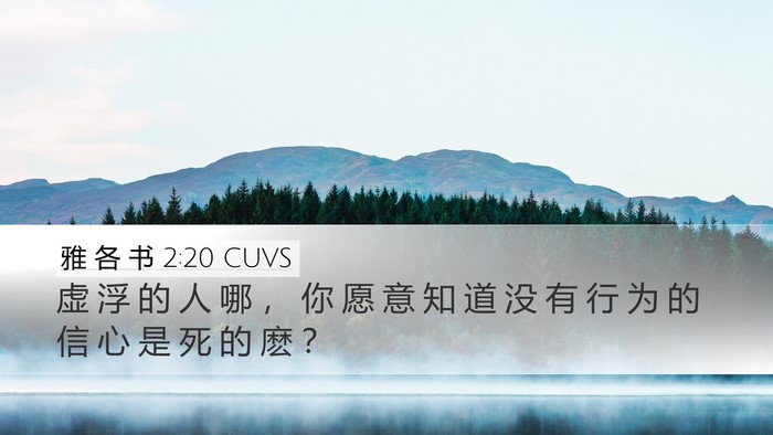 雅 各 书 2:20 CUVS Bible Verse Image