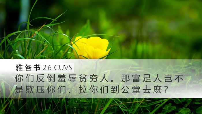 雅 各 书 2:6 CUVS Bible Verse Image