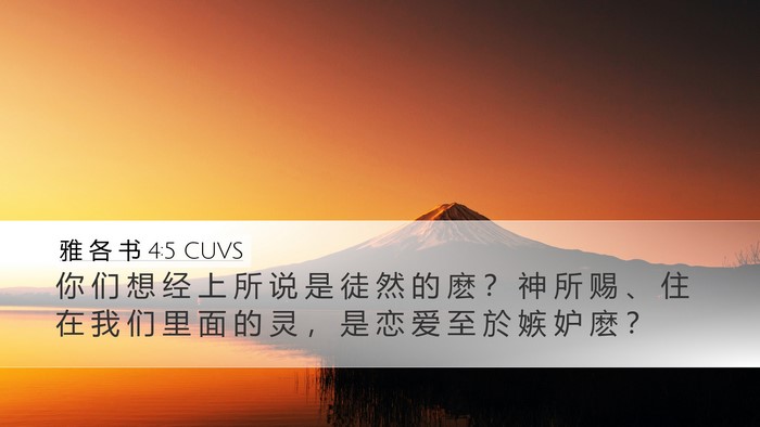 雅 各 书 4:5 CUVS Bible Verse Image