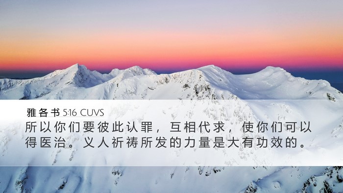 雅 各 书 5:16 CUVS Bible Verse Image