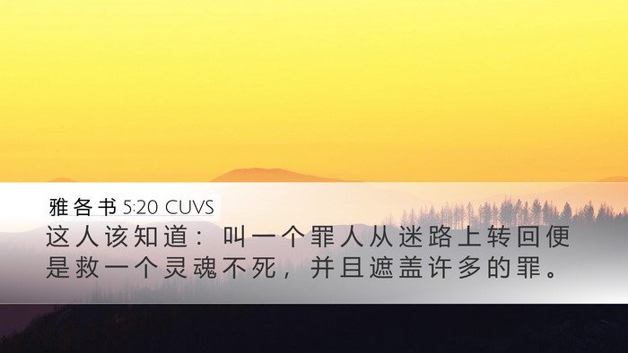 雅 各 书 5:20 CUVS Bible Verse Image