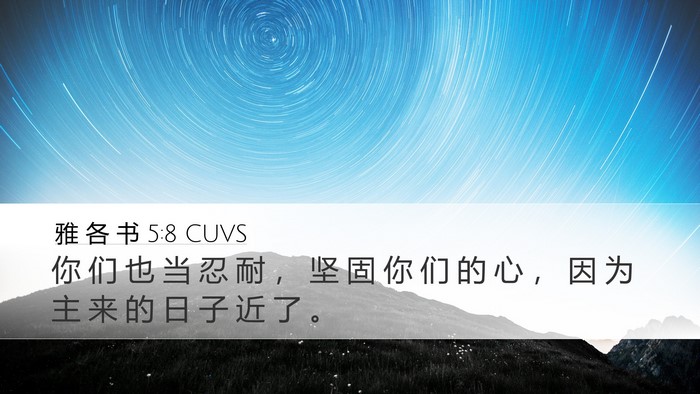 雅 各 书 5:8 CUVS Bible Verse Image
