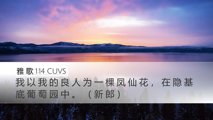 雅 歌 1:14 CUVS Bible Verse Image