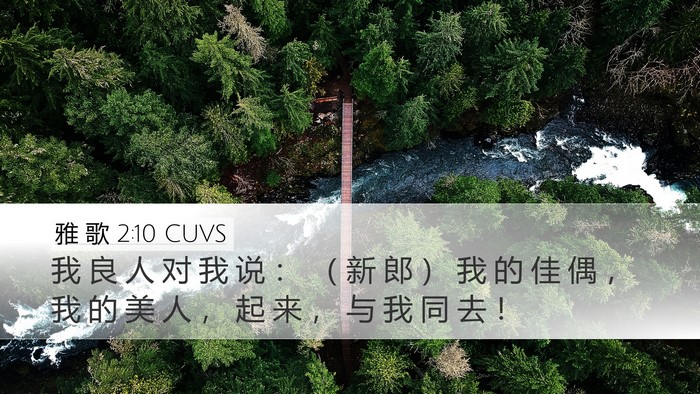 雅 歌 2:10 CUVS Desktop Wallpaper - 我 良 人 对 我 说 ： （ 新 郎 ） 我 - Desktop Bible Verse Wallpaper