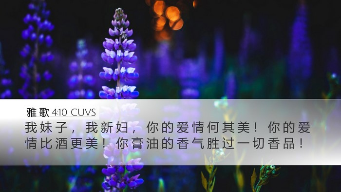 雅 歌 4:10 CUVS Bible Verse Image