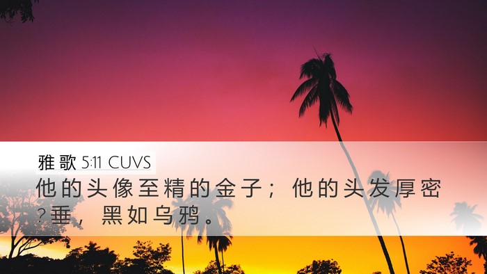 雅 歌 5:11 CUVS Bible Verse Image