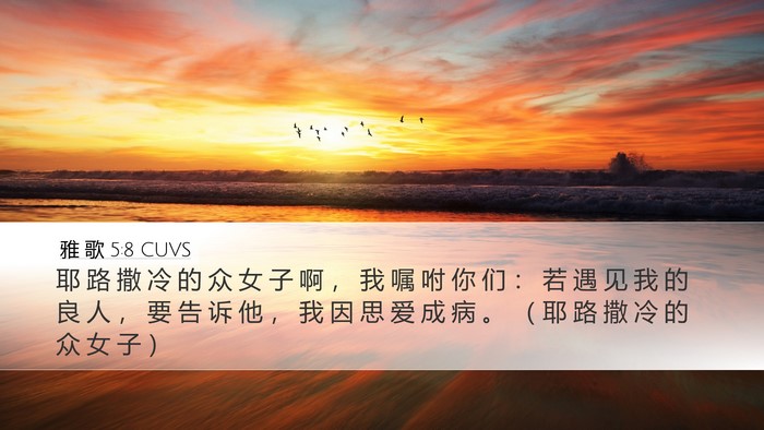 雅 歌 5:8 CUVS Bible Verse Image