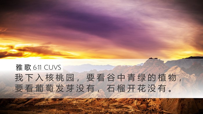 雅 歌 6:11 CUVS Bible Verse Image