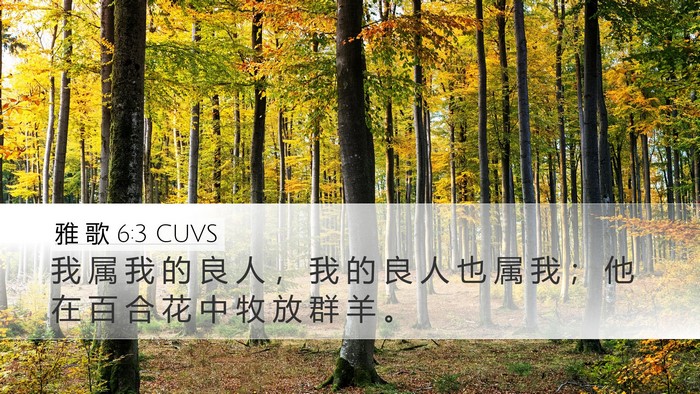 雅 歌 6:3 CUVS Bible Verse Image