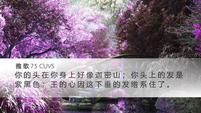 雅 歌 7:5 CUVS Bible Verse Image