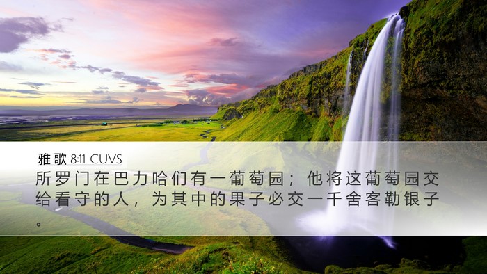 雅 歌 8:11 CUVS Bible Verse Image